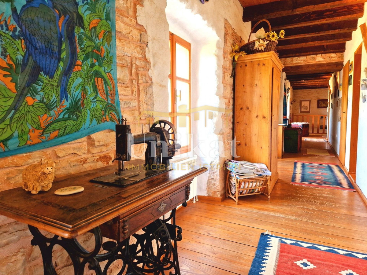 Avtentično posestvo s kamnito hišo in velikim zemljiščem